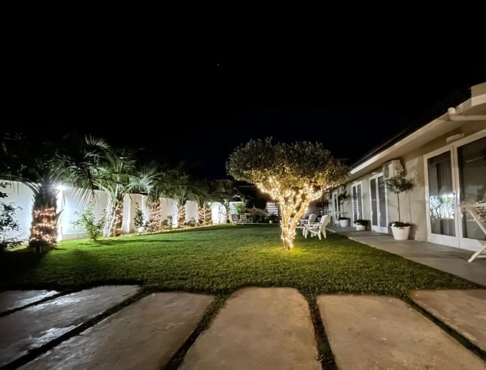 Amantea Monument garden at night with illuminated olive tree in Terrasini